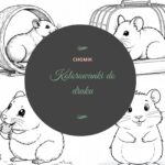 Kolorowanki do druku chomik
